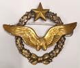 BRUSTABZEICHEN DER LUFTWAFFE-JAGDGESCHWADER FÜR OFFIZIER -