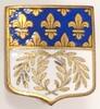 51 - REIMS - STADTABZEICHEN -