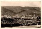 France Komitat 68340 - Riquewihr - Allgemeine Sicht -