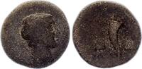 Royaume de Pergame  Sinope - Dichalque - 120 / 100 Av JC V / SGE+