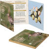 Irland  BU Euro 2024 box set - The Curlew