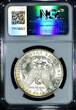 USA 1884-O Morgan Dollar NGC MS-63; Tiny Rainbow