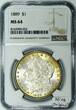USA 1889 Morgan Dollar NGC MS-64; Nice Original