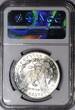 Dollars, Dollars Morgan Dollar  NGC MS-63; Frosty White