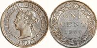 USA 1900 Canada One Cent; Choice , Scarce! vz+ 51,52 EUR  zzgl. 13,73 EUR Versand