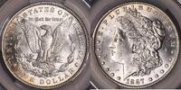 Dollars, Dollars Morgan Dollar CAC MS-61; Nice For The Grade! MS-61 178,62 EUR  zzgl. 17,85 EUR Versand