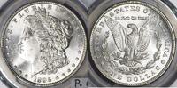 Dollars, Dollars Morgan Dollar  PCGS MS-64 Premium Quality White 160,76 EUR  zzgl. 17,85 EUR Versand