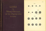 Antike Kraus, F.F. -