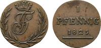 Schwarzburg-Rudolstadt Cu Pfennig Friedrich Günther 1807-1867 -