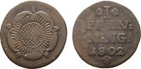 Lippe-Detmold Cu Pfennig Pauline von Anhalt, Vormünderin 1802-1820 -