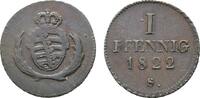 Sachsen-Albertinische Linie Cu Pfennig Friedrich August I. 1806-1827 -