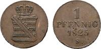 Sachsen-Albertinische Linie Cu Pfennig 1825 S Friedrich August I. 1806-1... 45,00 EUR  zzgl. 3,00 EUR Versand