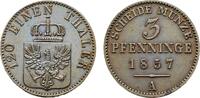 Brandenburg-Preu&szlig;en Cu 3 Pfennig 1857 A Friedrich Wilhelm IV. 1840-1861 ... 25,00 EUR  zzgl. 3,00 EUR Versand