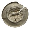 Braunschweig-herzoglich welfische Münzstätte Brakteat Albrecht der Große 1252-1279