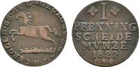 Braunschweig-Wolfenbüttel Cu Pfennig Karl 1815-1830