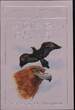 AUSTRALIA, KM P6 , Silver, 10 Dollars , 1994, Proof, Wedge-tailed eagle. Silver Piefort. Double Thickness. Weight: 40 grams. Nic