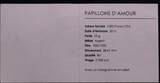 CAMEROON, KM# 24 , Silver, 1000 Francs, 2010, Mint Strike, Papillons D