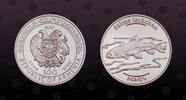 ARMENIA, KM# 153 , Silver, 100 Dram, 2007, Proof, Salmo ischchan - Lake Sevan Salmon with two red lines. Coin in excellent condi