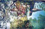 Deutschland Ansichtskarte Blaubeuren Ansichtskarte Blaubeuren Blautopf mit Klosterkirche -