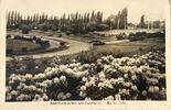 Deutschland Ansichtskarte Berlin 1944 Sommerblumen am Funkturm leicht be... 3,00 EUR  zzgl. 6,19 EUR Versand