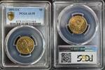USA 5 DOLLARS LIBERTY HALF EAGLE -