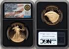 World Coins and Other 2021-W 2021-W Type 2 Proof Gold Eagle 1 oz ER Mile... 3813,47 EUR Differenzbesteuert nach §25a UStG zzgl. 38,65 EUR Versand