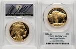 World Coins and Other 2006-W Proof Gold Buffalo 1 oz 1.00 oz David Hall -