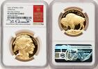 World Coins and Other 2021-W Proof Gold Buffalo 1 oz FDI Kenneth Bressett Red Book -