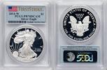 US Proof Silver Eagle 1 oz FS Flag Silver Eagles -