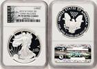 US Proof Silver Eagle 1 oz ER American Liberty Series Silver Eagles -
