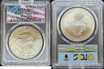 Bullion M&uuml;nzen Silver Eagle WTC Ground Zero Recovery 9/11/01 2001 Silver... 259,47 EUR  zzgl. 38,92 EUR Versand