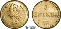 Great Britain & Ireland Monetary Weight for 1 Guinea -