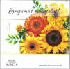 Finland 2021 BU set Finland III Bloemen  49,50 EUR  zzgl. 8,00 EUR Versand