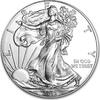 USA Eagle 1 ounce silver -