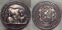 Schweden Silbermedaille -