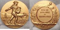 Frankreich Bronzemedaille COMICE AGRICOLE de BARBEZIEUX.Von J.Holy. -
