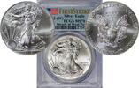 USA SILVER-EAGLE-DOLLAR 2013-W 13125-3 PCGS-MS70 130,00 EUR  zzgl. 22,00 EUR Versand