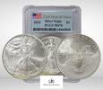 USA EAGLE-SILVER-DOLLAR 2010 PCGS-MS70 180,00 EUR  zzgl. 25,00 EUR Versand