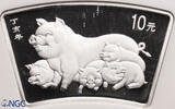 China 10 Yuan Year of the Pig -