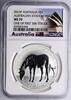 Australia Dollar Australian stock horse -