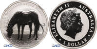Australia Dollar Australian stock horse -