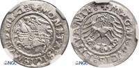Poland / Lithuania 1/2 Groschen Zygmunt I Stary 1506-1548 -