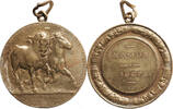 Belgium, Namur Medal Horse exhibition -