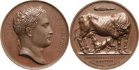 France. Napoleon I Br medal The conquest of Illyria -