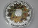 FRANKREICH 250 Euro 250 Euro Silber 1/2 Kg coloriert 2025 Palais Garnier PP -