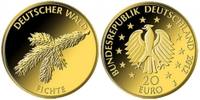 BRD 5 x 20 Euro 5 x 20 Euro 2012 Deutscher Wald Die Fichte alle Prägestätten A D F G J