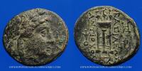 GRIECHISCHE MÜNZEN Bronze Royaume de Syrie. Antiochus II Théos (264-246 AC). . Tralles (?) -