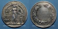 ELSAß Alsace. Strasbourg. Cercle de jardinage d'Alsace. Médaille argent. 51 mm -