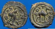R&Ouml;MISCHE PROVINZIALPR&Auml;GUNGEN bronze 177-192 n. Chr. Arabie. Bostra. Peti... 158,00 EUR  zzgl. 9,80 EUR Versand