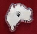 Australien 1 Dollar Silbermünze - 1 oz Silver Coin OVP 2016 Australian Map Shaped Coin - Great White Shark - Weißer Hai Stempelglanz minimal getönt Farbmünze mit Etui, Umkarton & Zertifikat